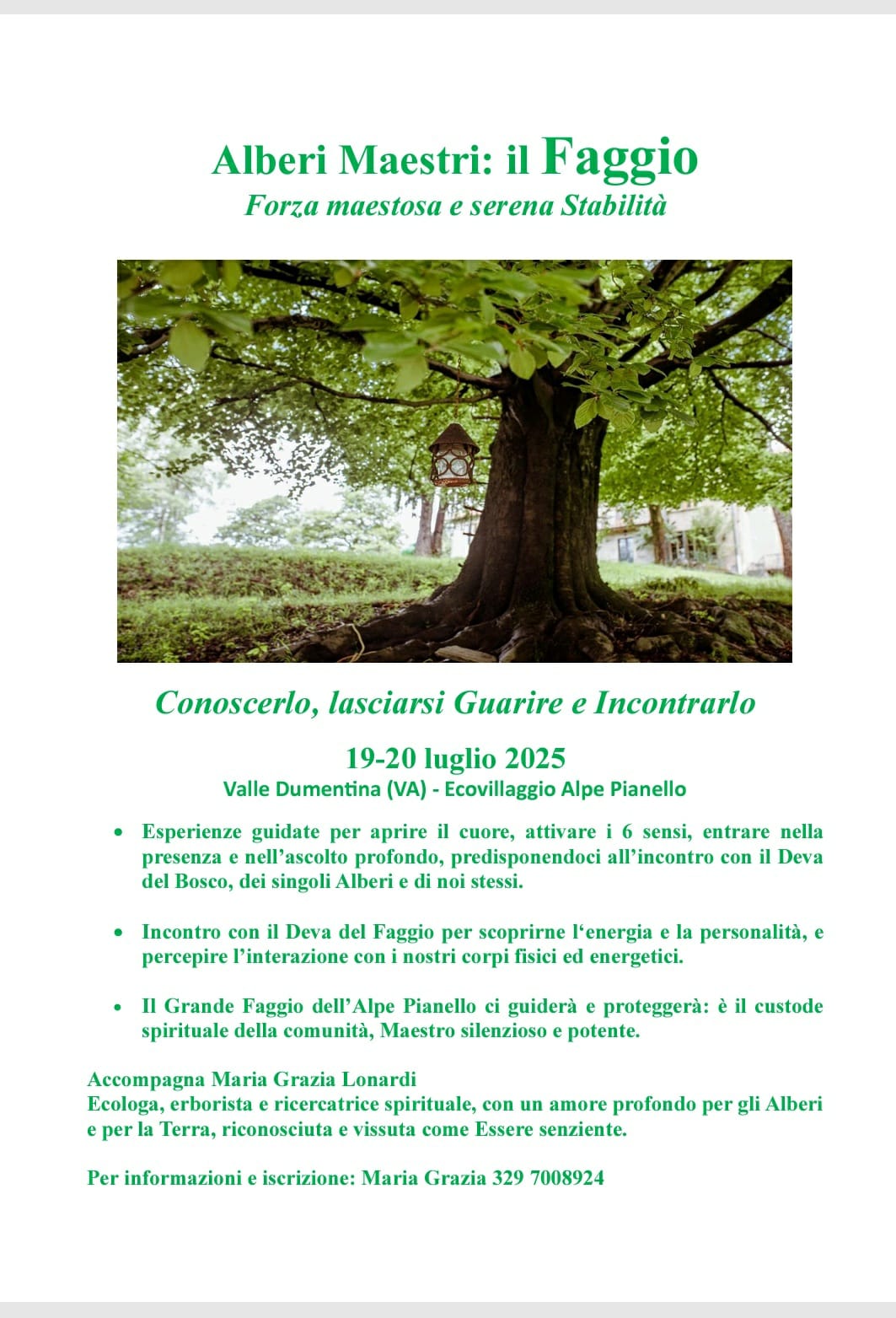 WhatsApp Bild 2025 06 04 um 10.08.27 58319e0b