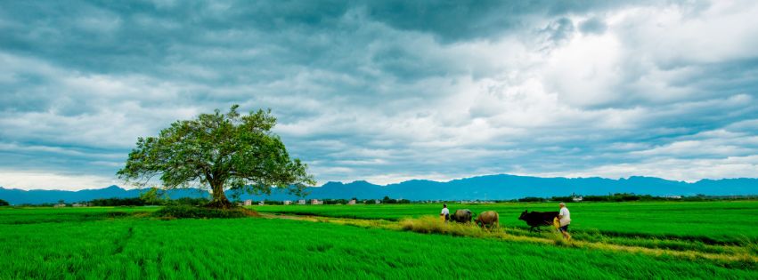 Progetto senza titolo 1