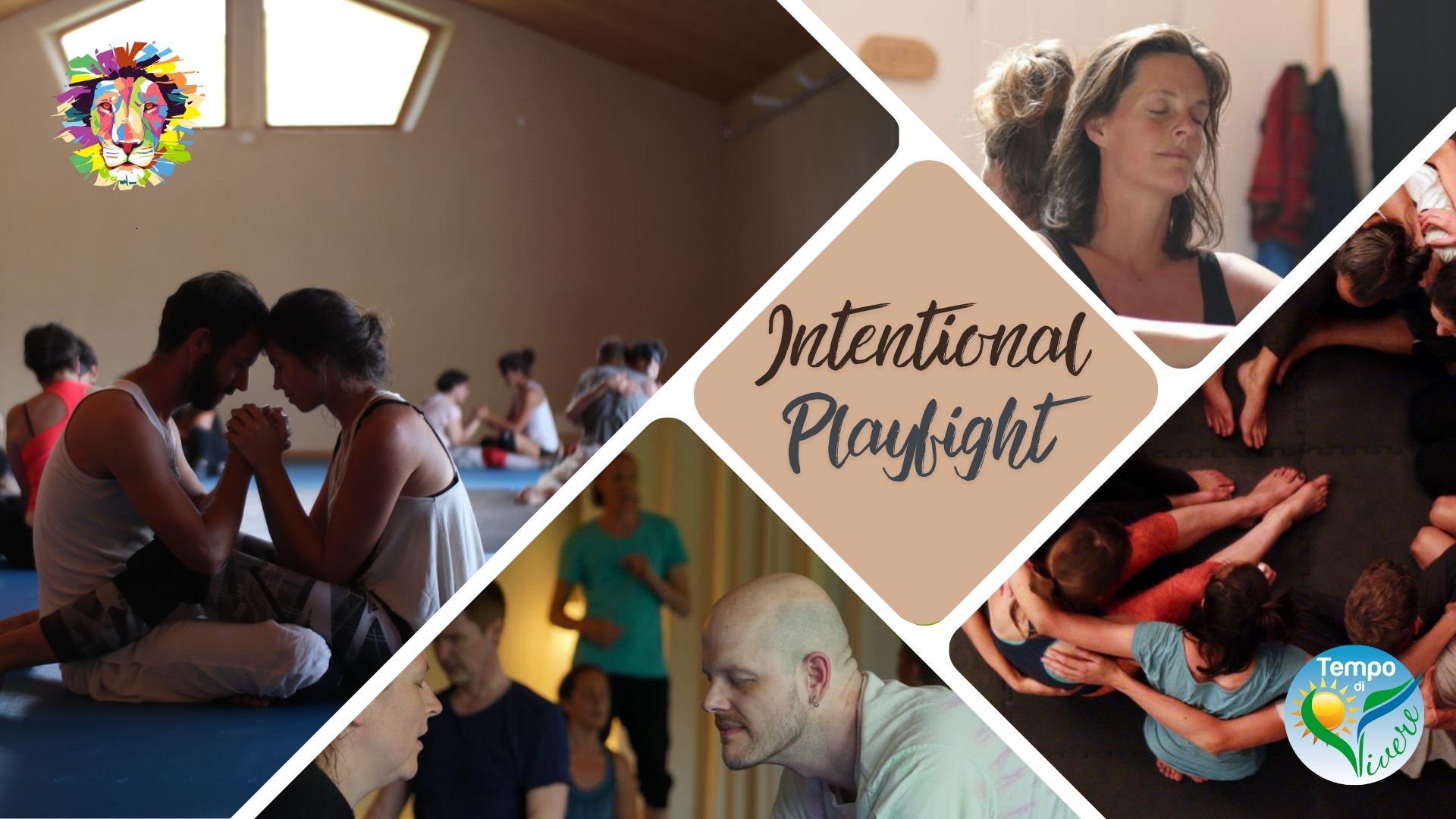 copetina intentional playfight