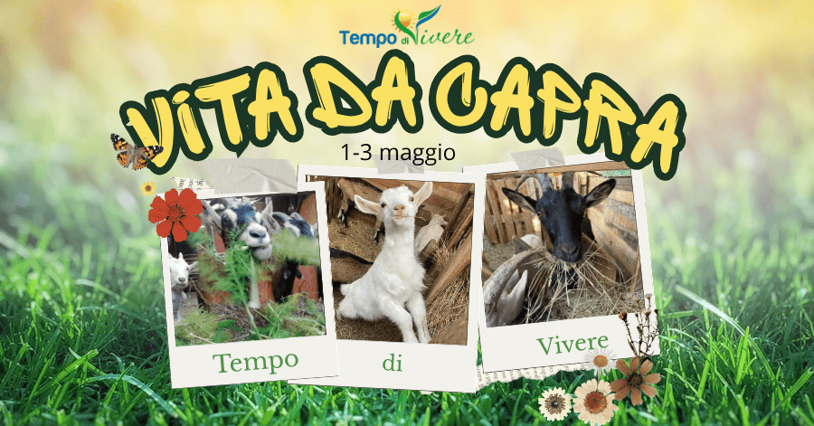 vita da capra 