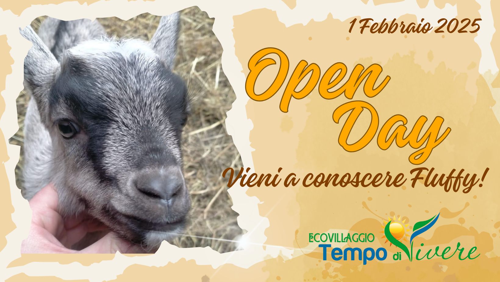 open day 1 febbraio 2